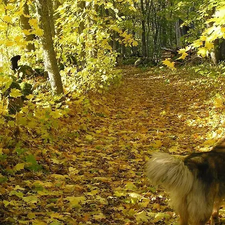 Saunahouse And Outdoor Kitchen At Matsalu Nature Park Сasa de vacaciones Puise