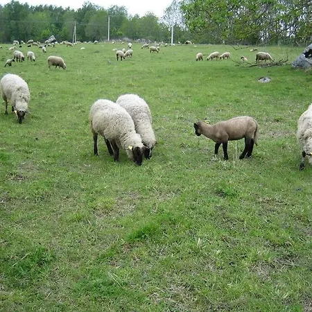 Saunahouse And Outdoor Kitchen At Matsalu Nature Park *