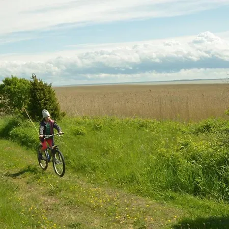 Saunahouse And Outdoor Kitchen At Matsalu Nature Park Puise