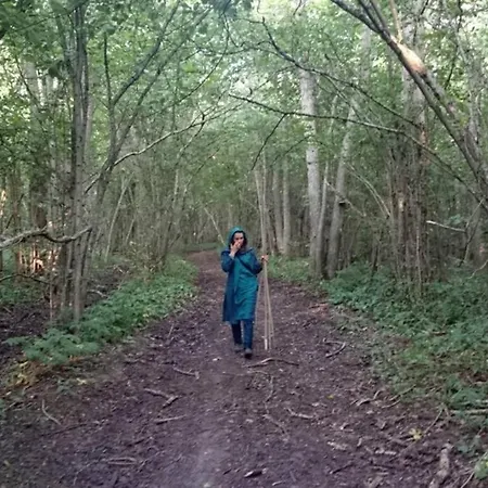 Casa de Férias Saunahouse And Outdoor Kitchen At Matsalu Nature Park