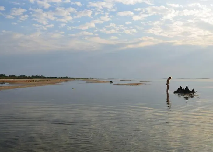 Hébergement de vacances Saunahouse And Outdoor Kitchen At Matsalu Nature Park