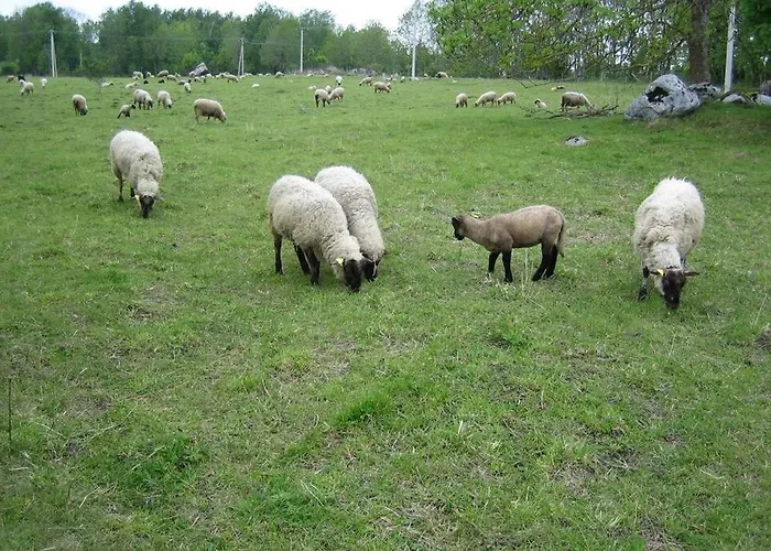 Saunahouse And Outdoor Kitchen At Matsalu Nature Park *
