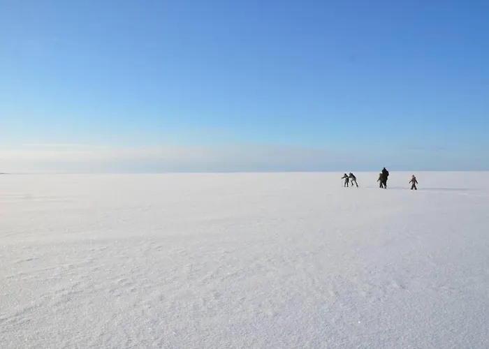 Saunahouse And Outdoor Kitchen At Matsalu Nature Park *