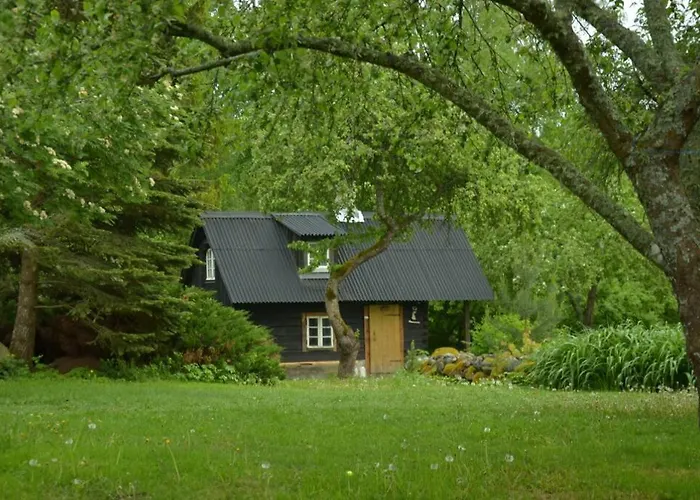 Hébergement de vacances Saunahouse And Outdoor Kitchen At Matsalu Nature Park *
