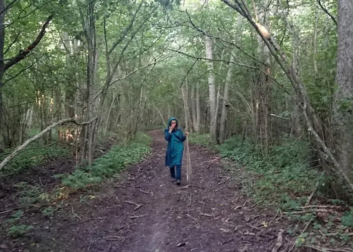 Holiday home Saunahouse And Outdoor Kitchen At Matsalu Nature Park