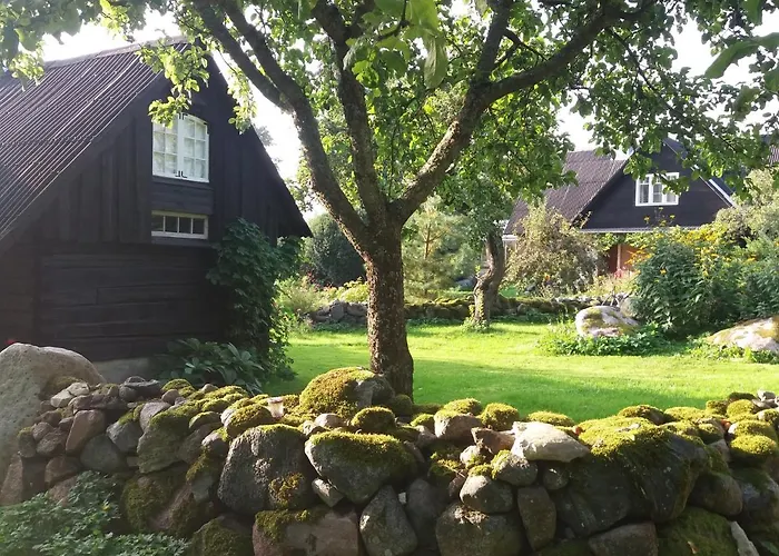 Saunahouse And Outdoor Kitchen At Matsalu Nature Park Puise